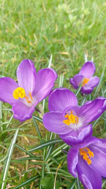 🌞😍🌞 Frühling 🌞😍🌞