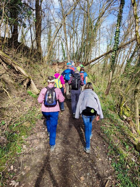Dann ging es hoch hinauf auf den Waldlehrpfad | Foto: Aurelia Kling