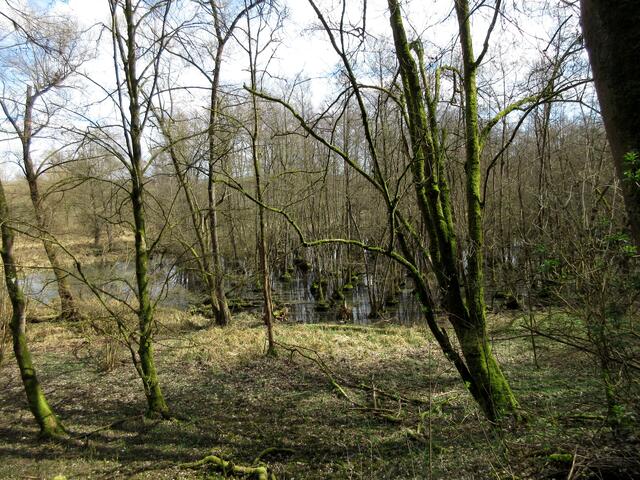 Immer wieder schön und wie ein Urlaubstag... 