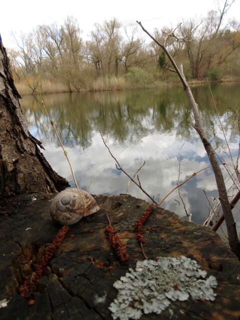Und auch das Seeloch ist immer wieder einen Ausflug wert, jedesmal schön und bietet neue Perspektiven.