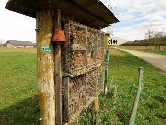 Hier summt und brummt es, dass es eine wahre Freude ist.