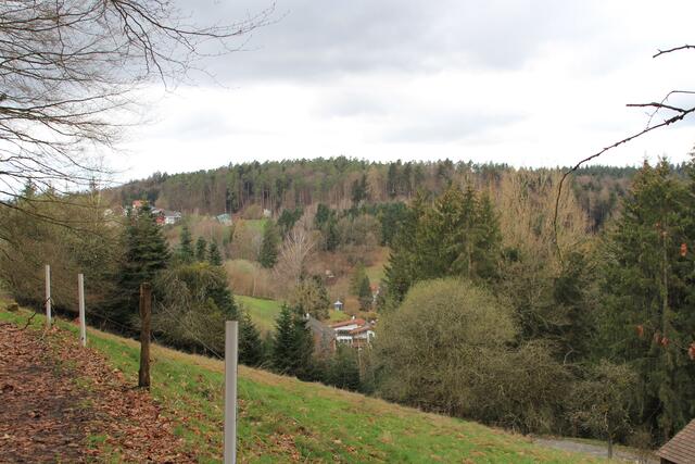 Blick auf Stangenbach