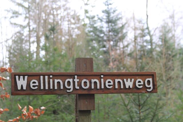 und wieder auf dem Weg