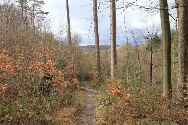 weiter runter