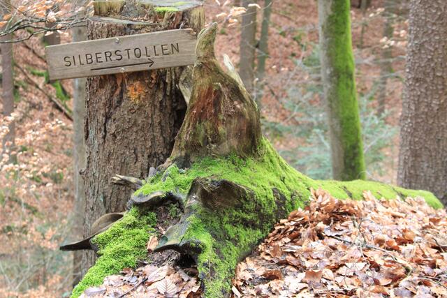 auf dem Rückweg