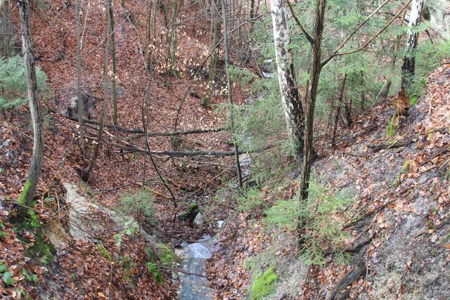 Wildnis pur