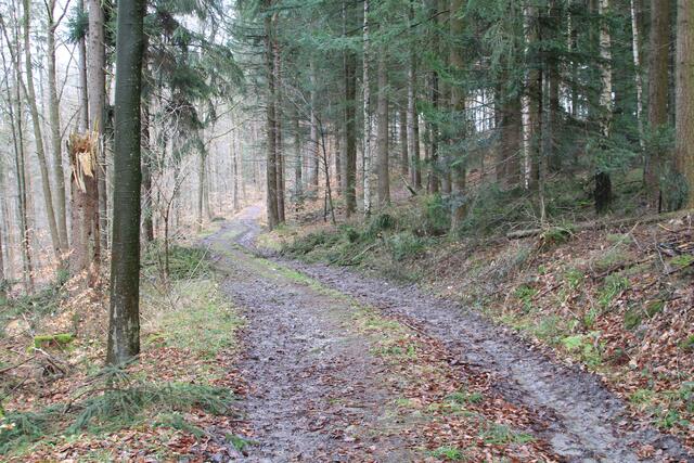 kleiner Abstecher Richtung Stangenbach