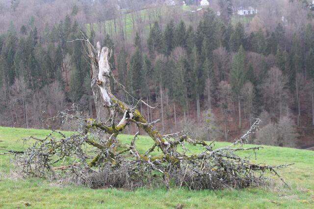 der ist tot