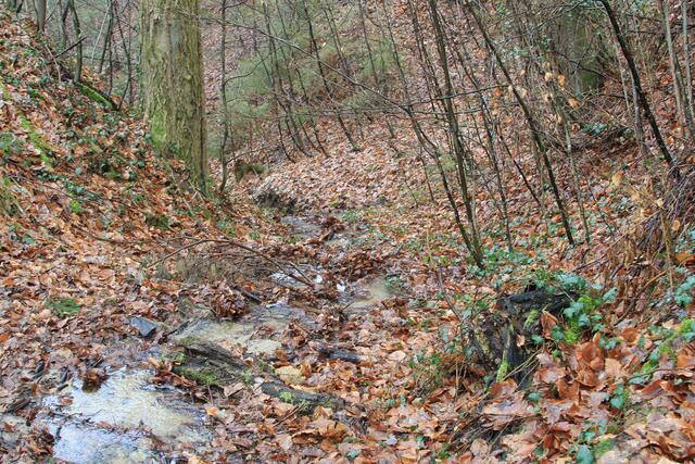 ganz schön viel Wasser überall