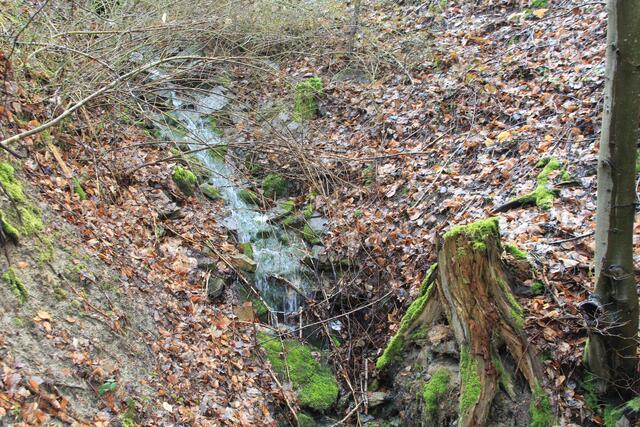 Wildnis pur