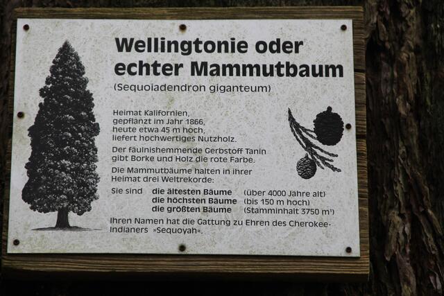 Info