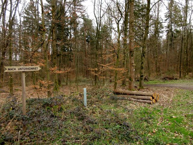 Es stehen auch überall neue Schilder und man findet sich auch ohne Ortskenntnis sehr gut im Wald zurecht