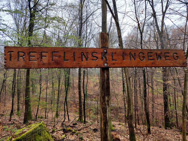 Aha Trefflings KLING eweg ;-) | Foto: Aurelia Kling