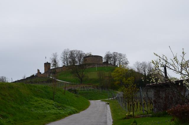 Blick zur Weibertreu