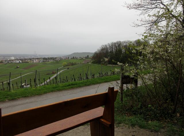 Auf der Baumelbank will heute niemand Platz nehmen, viel zu nass. Es ist so traurig, sie wurde erneuert und ist schon wieder beschmiert. 