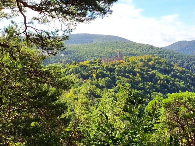 Ein toller Blick Richtung Kloster Limburg