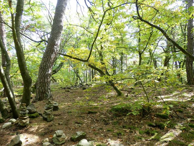 Auf dem Gelände der "Heidenmauer"