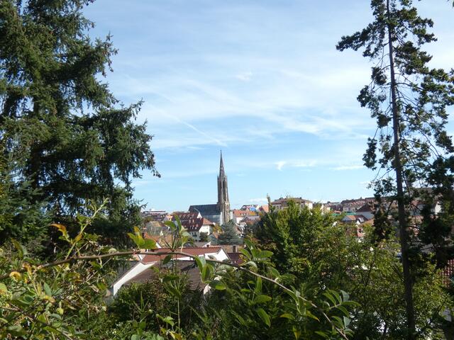 Blick auf Bad Dürkheim