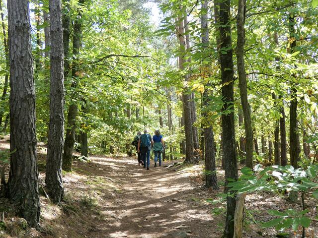 Ein großes Vergnügen, auf solchen Pfaden zu wandern