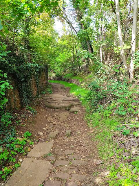 Durch diese hohle Gasse ....... ein Hohlweg hinauf nach Battenberg