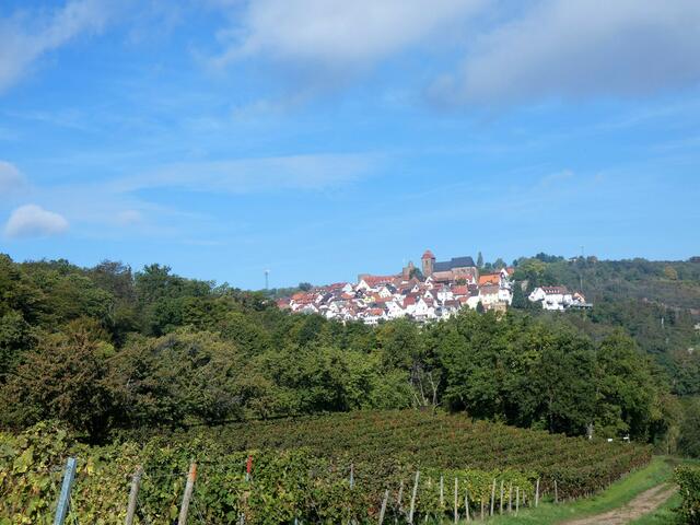 Der Blick zurück - Das "Bergstädtchen" Neuleiningen mit seiner Burgruine