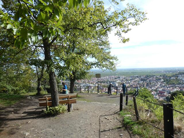 Das obere Plateau über dem römischen Steinbruch "Kriemhildenstuhl" und Bad Dürkheim
