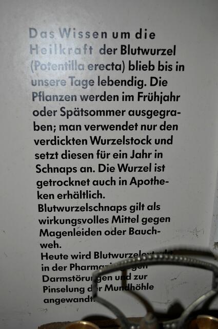 Einblicke ins Museum. Da freut sich die Kräuterpädagogin. | Foto: Daniela Somers