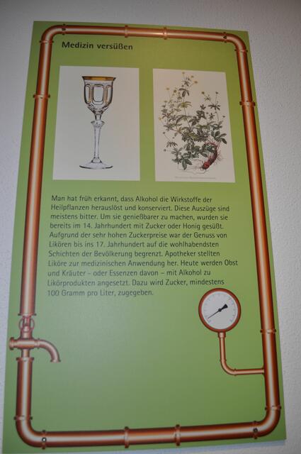 Einblicke ins Museum | Foto: Daniela Somers