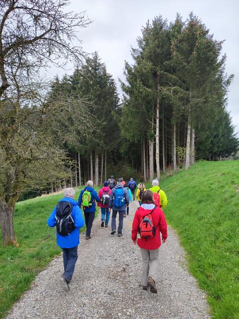 Oberhalb der Trollblumenwiese, doch das ist eine andere Wanderung | Foto: Aurelia Kling