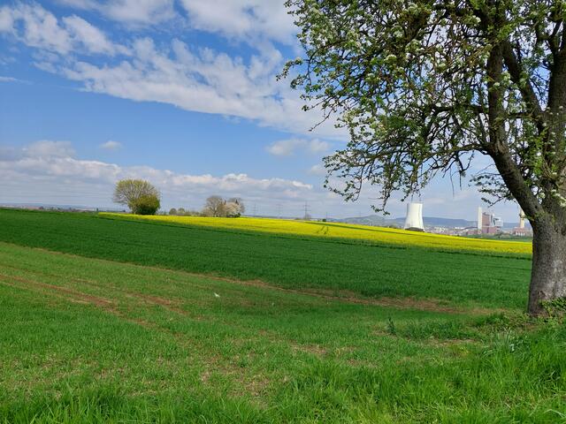 Richtung Osten gibt es nahezu kein Foto ohne Kraftwerk. Doch in der Sonne und vor blauem Himmel kann man seinen Frieden damit schließen.