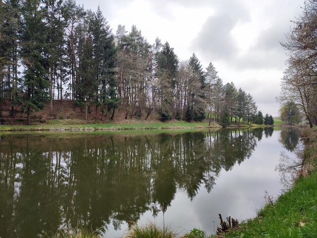 Lauxensee mit Spiegelungen | Foto: Aurelia Kling