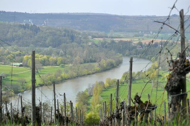 Ausblick | Foto: Daniela Somers