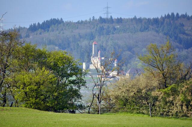 Ausblick auf Burg Hornberg | Foto: Daniela Somers