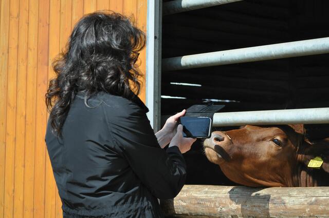 Heide scheint ein sehr williges Modell gefunden zu haben. | Foto: Daniela Somers