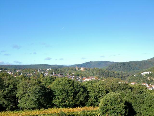 Dort drüben ist die Klosterruine Limburg zu sehen.