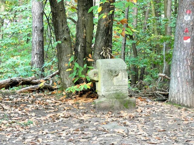 Ein Grenzstein am Wegesrand