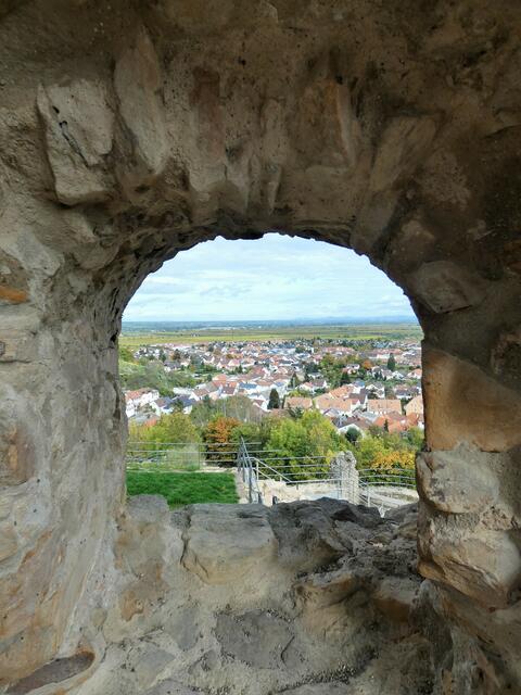 Vom Burghof sieht man durch das Mauerfenster nach Wachenheim hinab