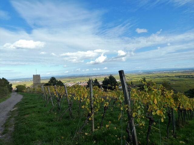 Der Rückblick zeigt, wie schön die Burgruine liegt.