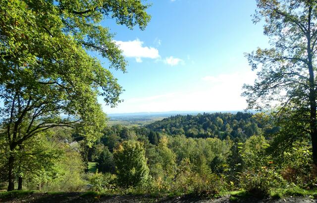 Ein schöner Ausblick am Strauss-Platz