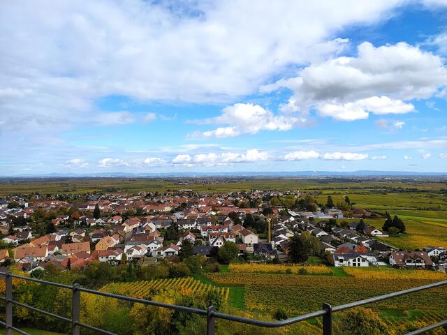 Von der Wachtenburg fällt der Blick auf den Winzerort Wachenheim, über dem die Burgruine thront. 