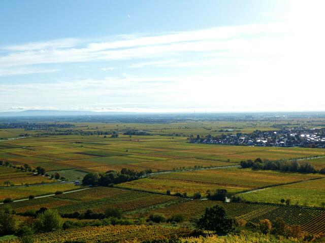 Vom Turm hat man weite Ausblicke in die Rheinebene