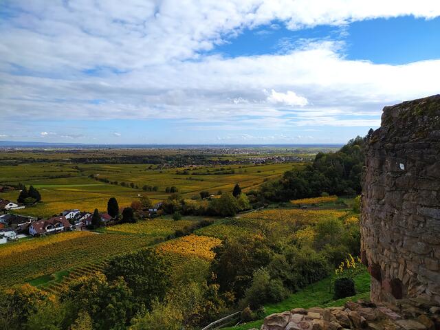 Herrliche Ausblicke in die Rheinebene.
