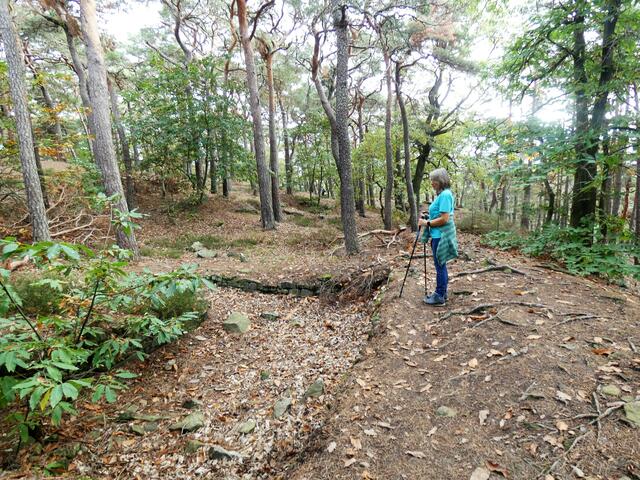 Mauerreste eines "Heidenlochs"