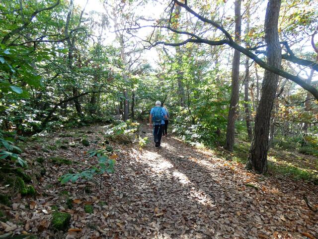 Weiter geht's auf weichen Pfaden