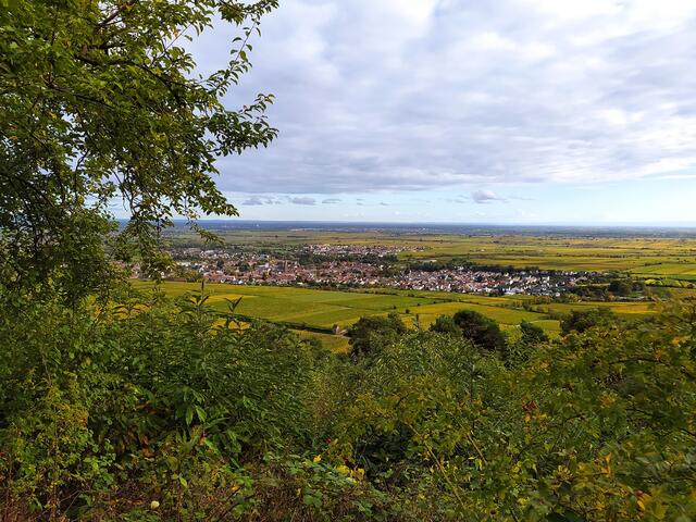 Von der Kapelle ist Deidesheim zu sehen
