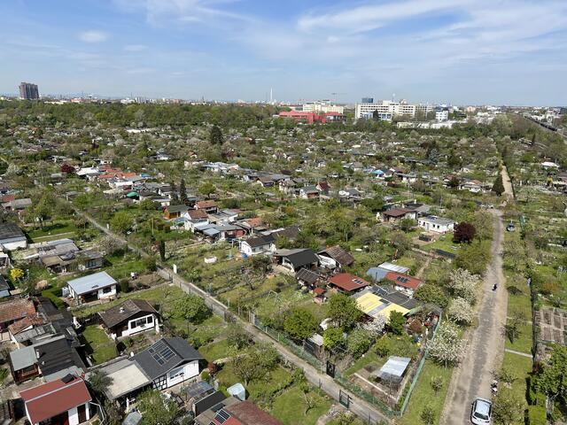 Die Gartenlaubenkolonie von Käfertal | Foto: Moni Bordt