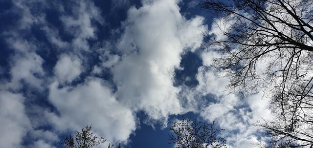 Blick nach oben ... der Wettergott meint es gut mit uns! | Foto: privat Sibylle Tröber