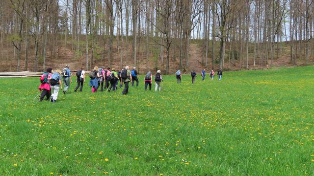 sattgrüne Wiese | Foto: privat Sibylle Tröber