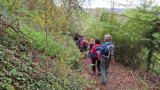 auf schmalem Pfad hinunter nach Brettach | Foto: privat Sibylle Tröber