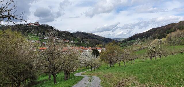 Blick zurück auf Brettach und die Burg | Foto: privat Sibylle Tröber